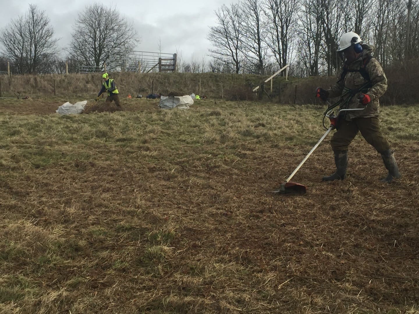 Two workers using strimmers to clear rough grass in a field