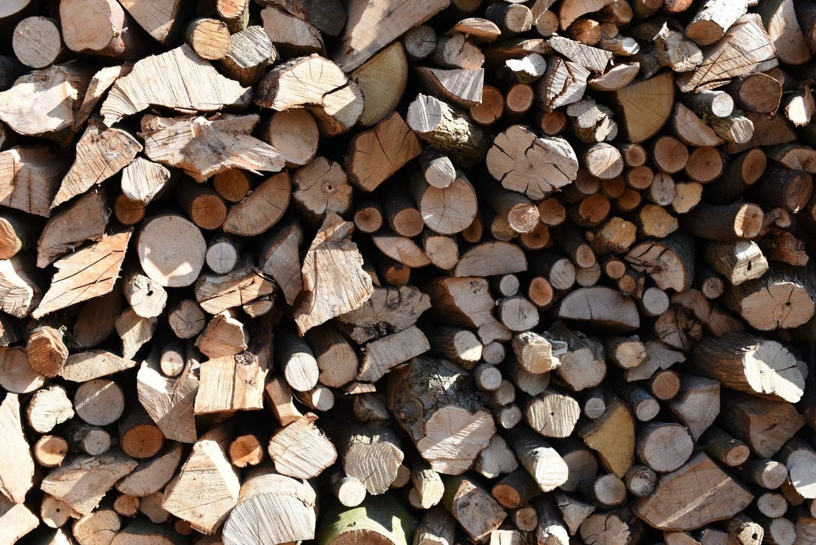 Unseasoned hardwood logs Unseasoned hardwood logs