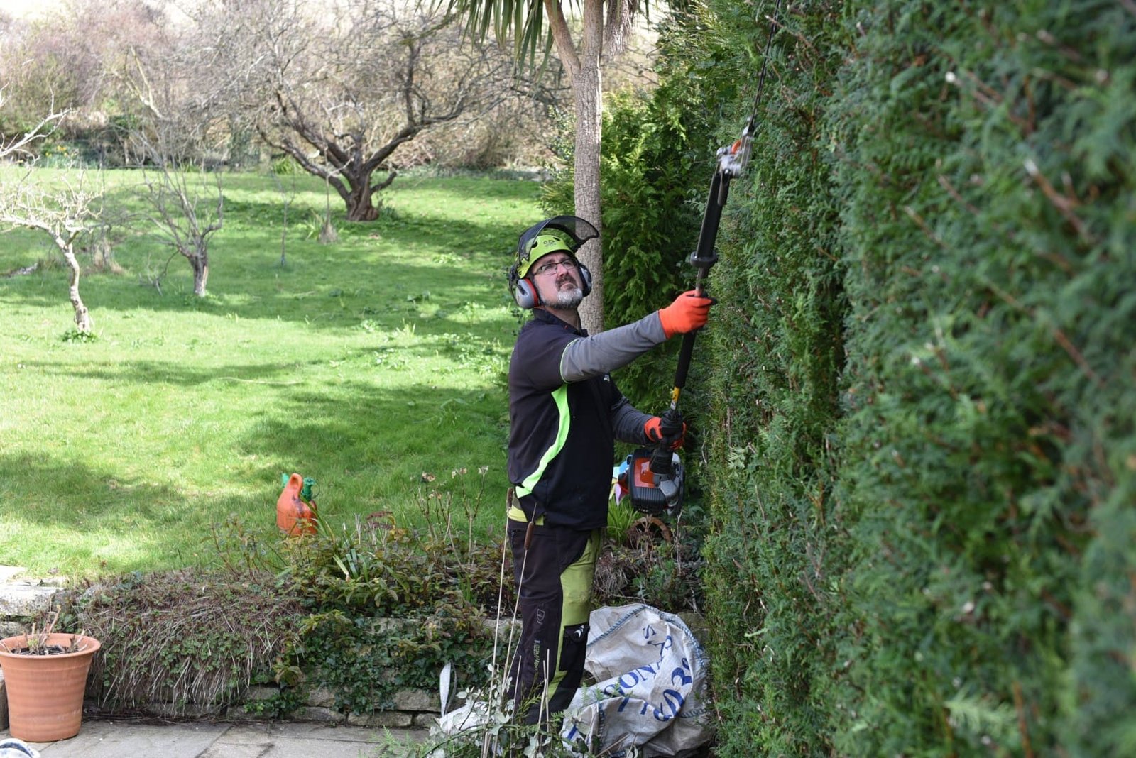 Hedge cutting