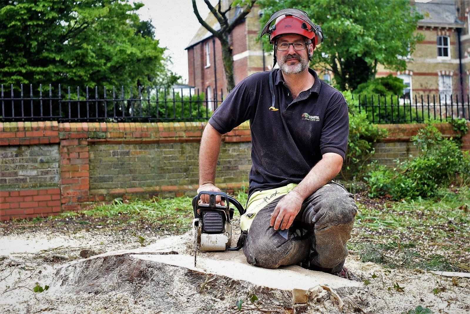 Weymouth tree surgeon, Weymouth tree surgeons, tree surgeon Weymouth, tree surgeon Dorchester, tree surgeon Portland, about us, tree felling in Weymouth. tree, felling, tree felling, Weymouth, cypress