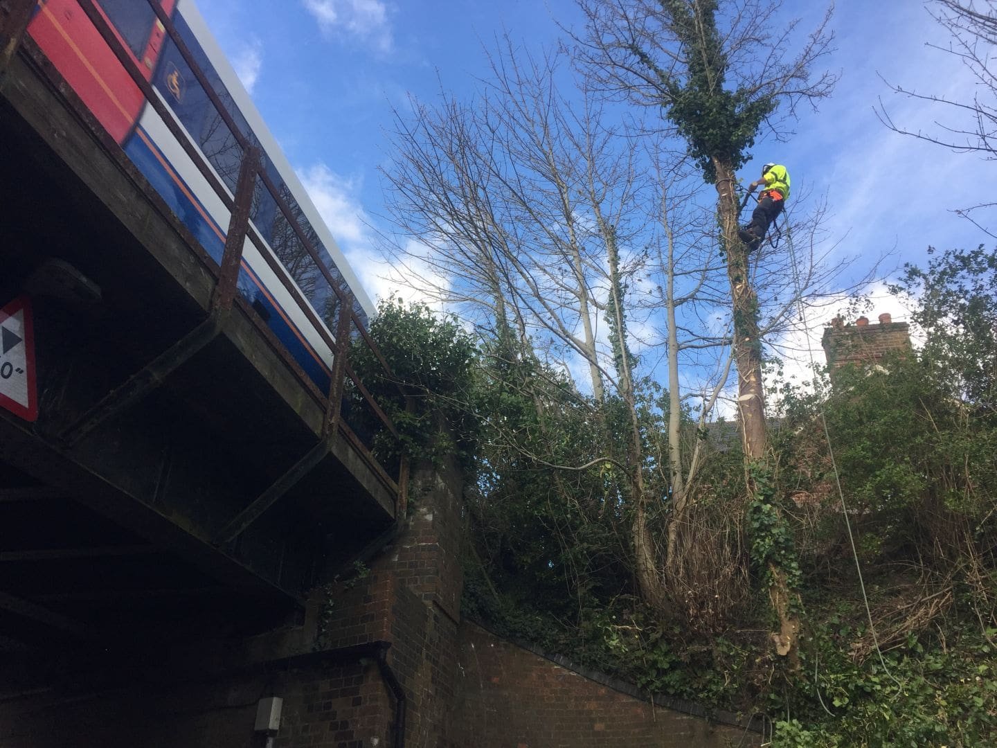 tree felling, dismantling, Dorchester, tree coppicing in Dorchester, embankment, train, railway line