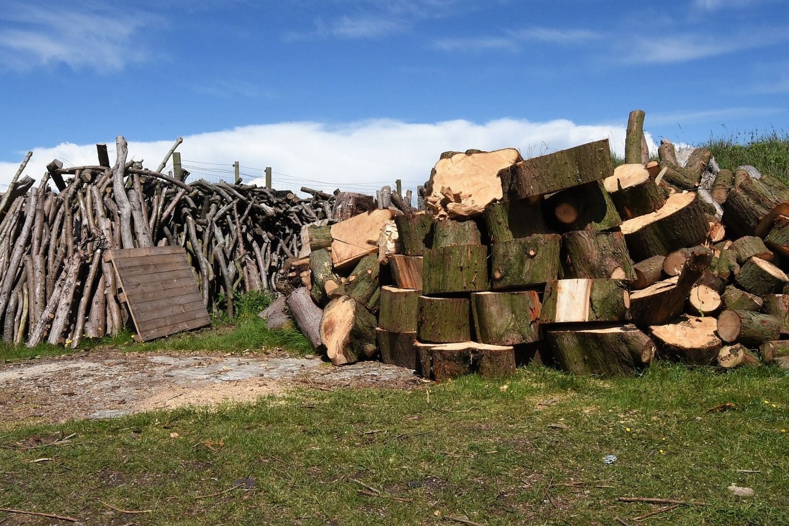 Tree waste how to season firewood logs, tree waste, firewood, logs, Weymouth firewood, firewood Weymouth, logs Weymouth, Weymouth logs, seasoned logs Weymouth, seasoned firewood Weymouth