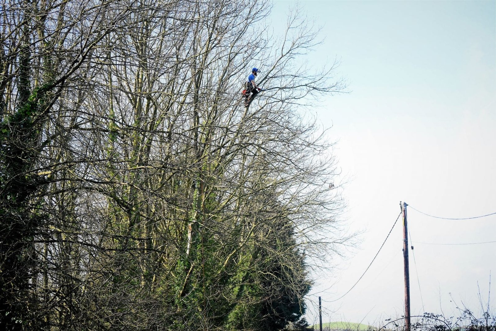 Weymouth tree surgery, Weymouth tree surgeons, tree surgeons Weymouth, storm damage, clearing storm damage, arborist, climbing arborist, emergency tree work, tree safety work, wood chipper, recycling, waste recycling