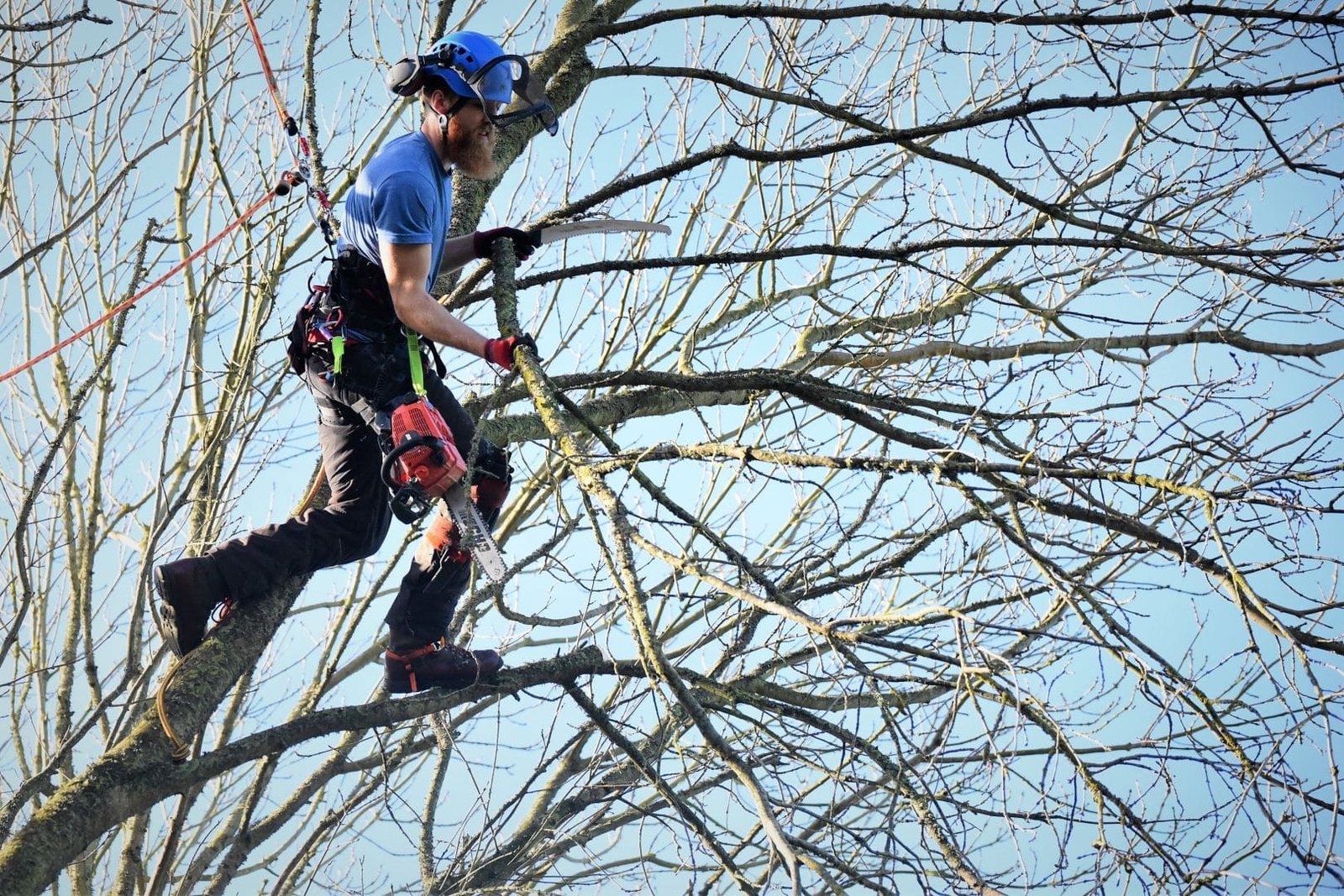 Weymouth tree surgery, Weymouth tree surgeons, tree surgeons Weymouth, storm damage, clearing storm damage, arborist, climbing arborist, emergency tree work, tree safety work, wood chipper, recycling, waste recycling