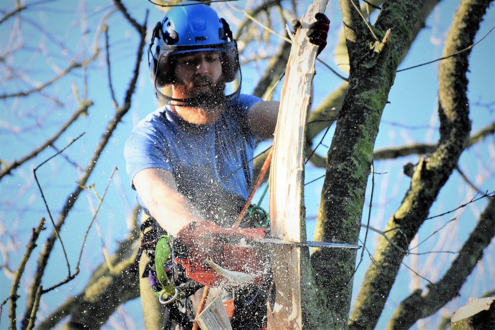 emergency tree work, Weymouth tree surgery, Weymouth tree surgeons, tree surgeons Weymouth, storm damage, clearing storm damage, arborist, climbing arborist, emergency tree work, tree safety work