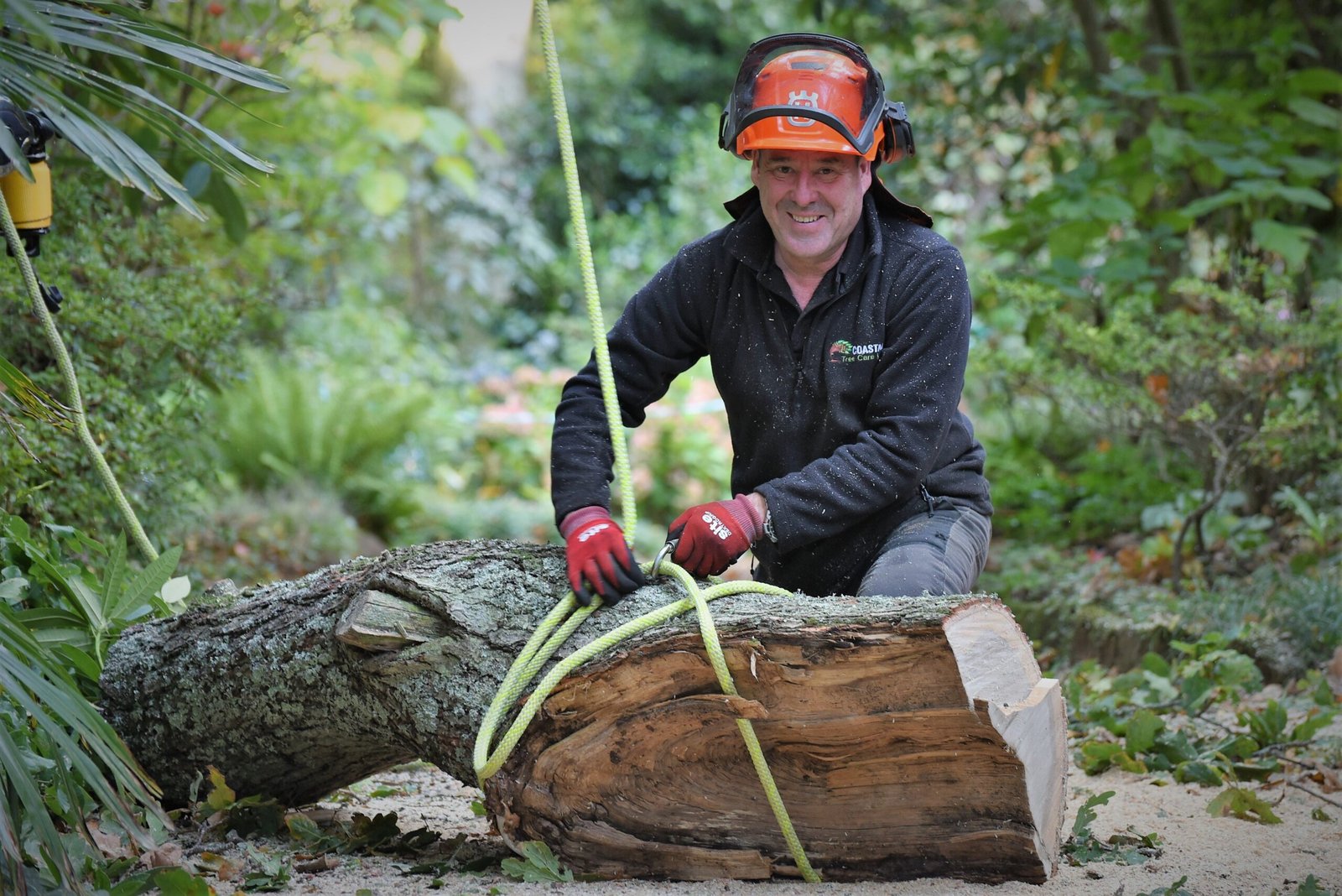 Abbotsbury Subtropical Gardens, emergency tree care, emergency tree work, arborist, climbing arborist, Weymouth tree surgeons, Dorchester tree surgeons, ratchet straps,