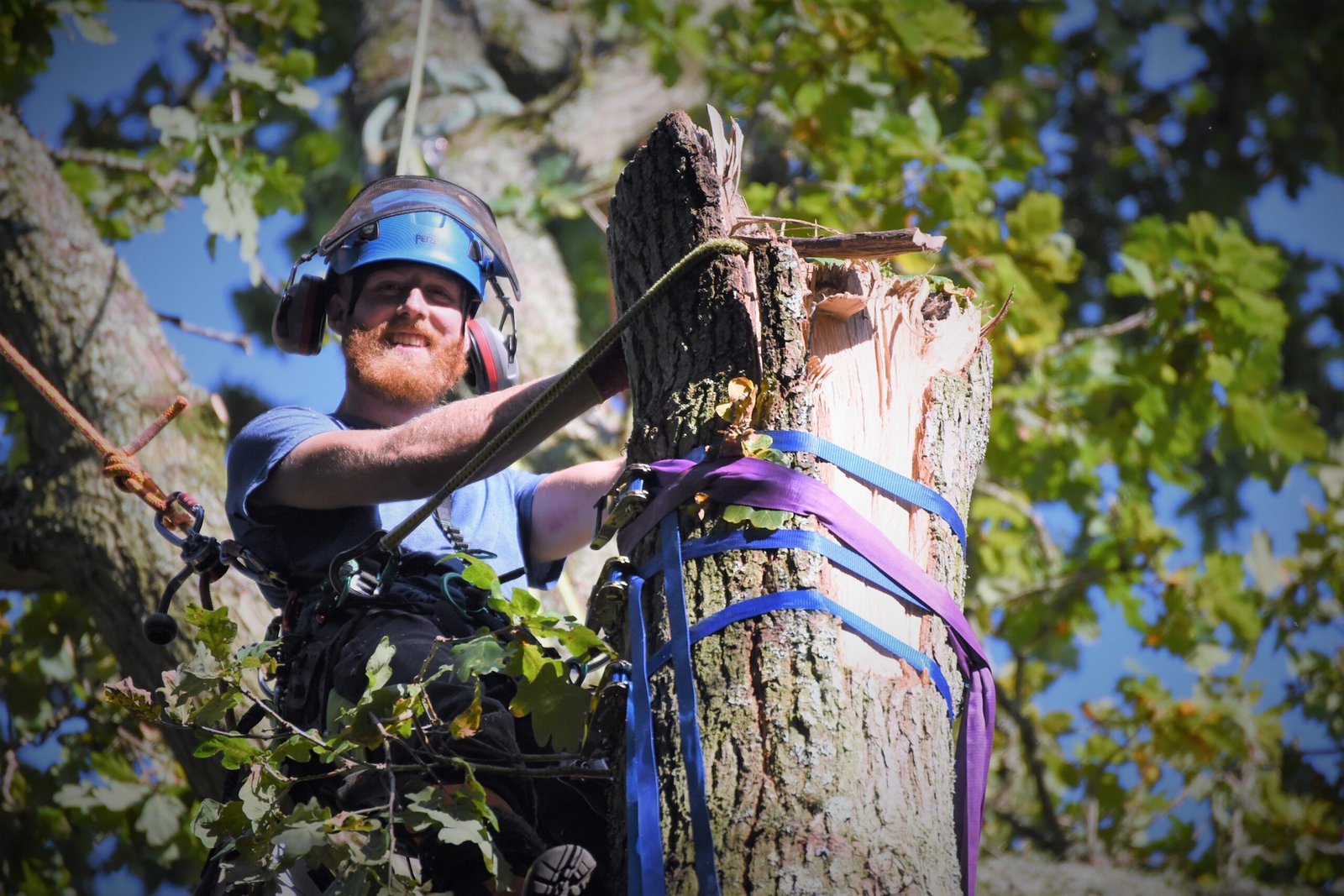 Abbotsbury Subtropical Gardens, emergency tree care, emergency tree work, arborist, climbing arborist, Weymouth tree surgeons, Dorchester tree surgeons, ratchet straps,