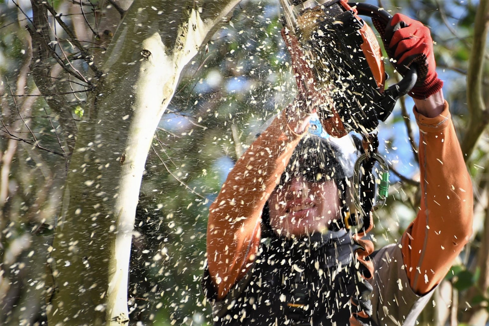 Sawdust shower