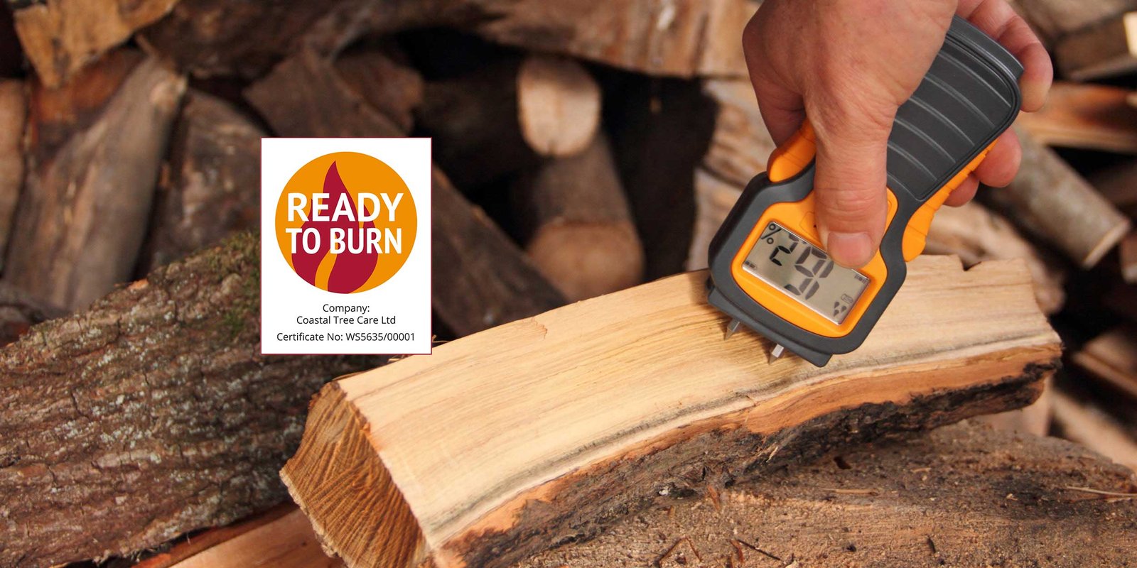 Moisture-Reading-Coastal-Tree-Care-001
