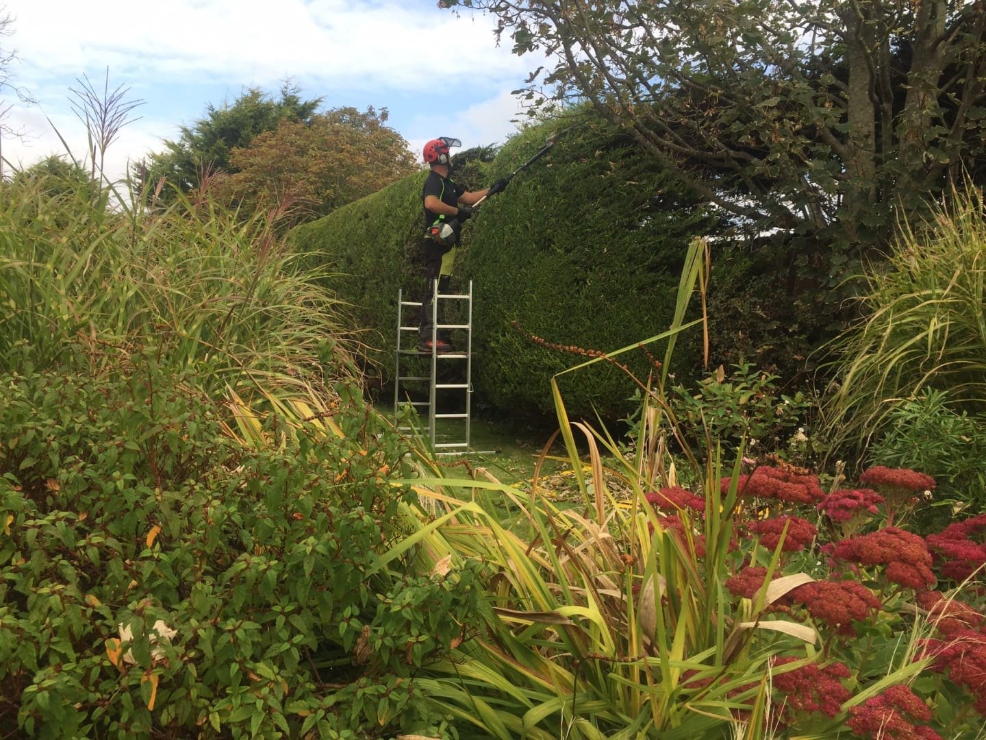 01911c8c5c26ffdc4ac9698904a3bae1197bdf46f7 Seasonal Splendor, Year-Round 🍁 From the whispering grasslands to the towering trees, we ensure your grounds reflect South Dorset's natural beauty throughout the seasons.