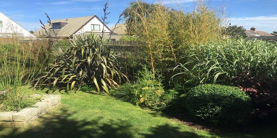 garden-border