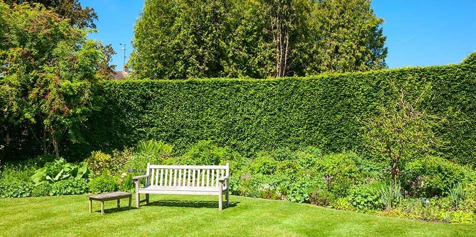 grounds-maintence-lawn-and-hedge